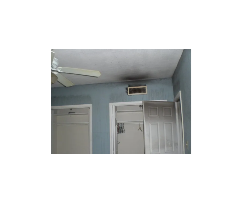 Pulse Restoration technician on a Long Island job site