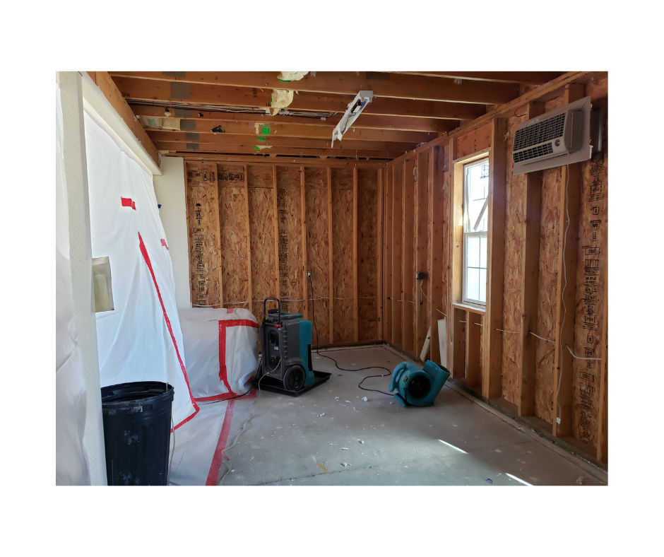 Mold Remediation on Long Island